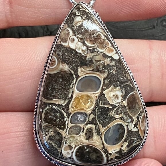 Elimia Turitella Agate Pendant - Picture 3 of 7